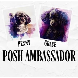 Meet your Posher, Donna